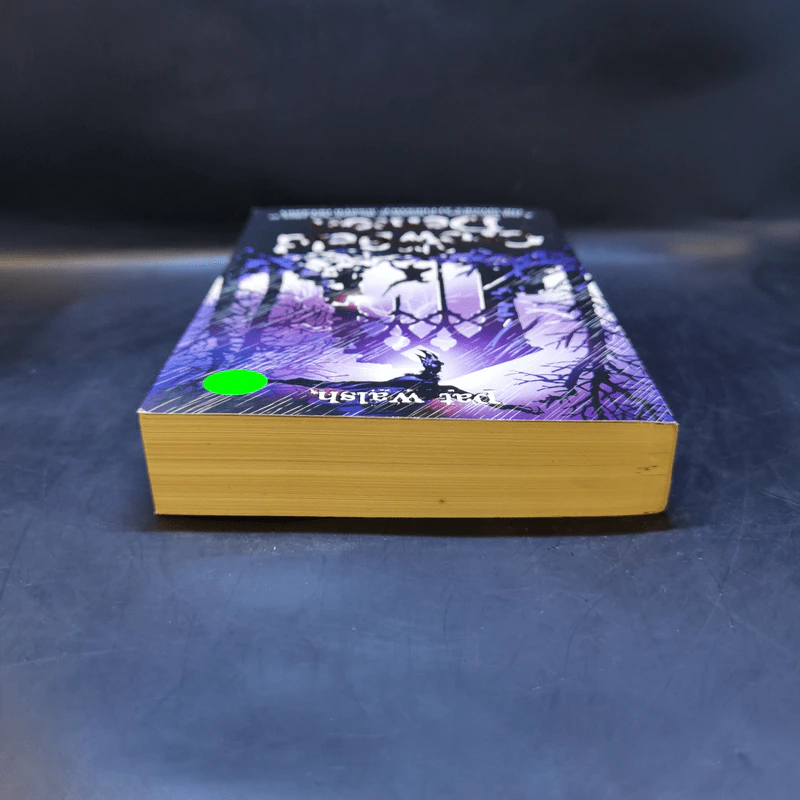 The Crowfield Demon - Pat Walsh รูปที่ 6