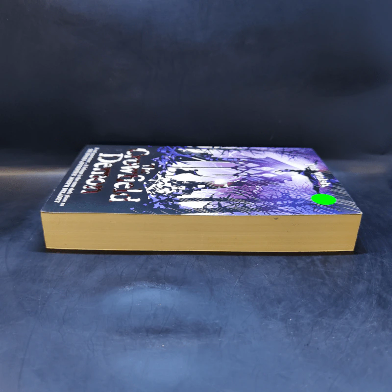 The Crowfield Demon - Pat Walsh รูปที่ 5