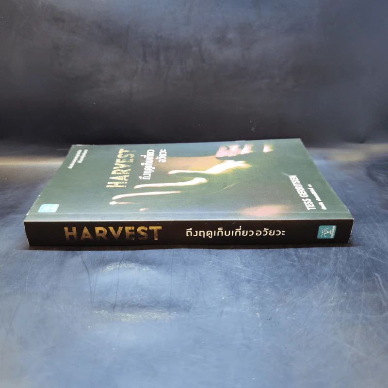 Harvest ถึงฤดูเก็บเกี่ยวอวัยวะ - Tess Gerritsen รูปที่ 3