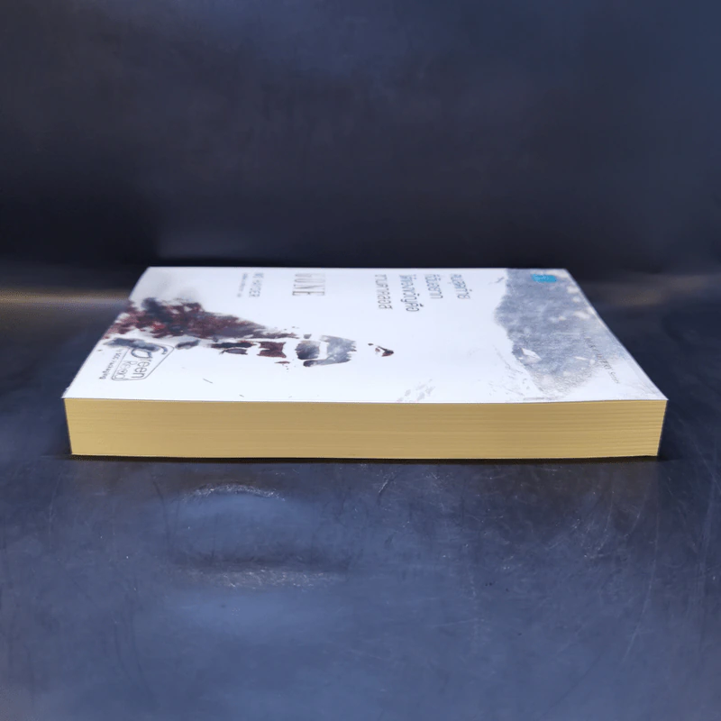 คนสุดท้ายที่ฉันอยากได้ของขวัญคือซานตาคลอส GONE - Mo Hayder รูปที่ 5