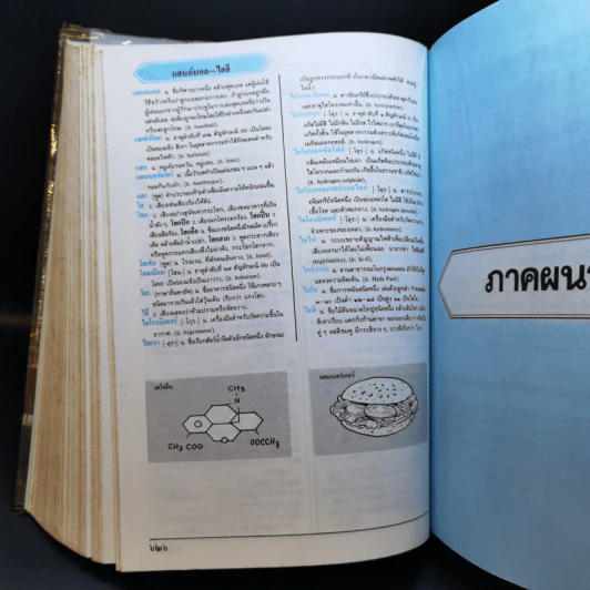 พจนานุกรมฉบับเฉลิมพระเกียรติ พ.ศ.2530 รูปที่ 13
