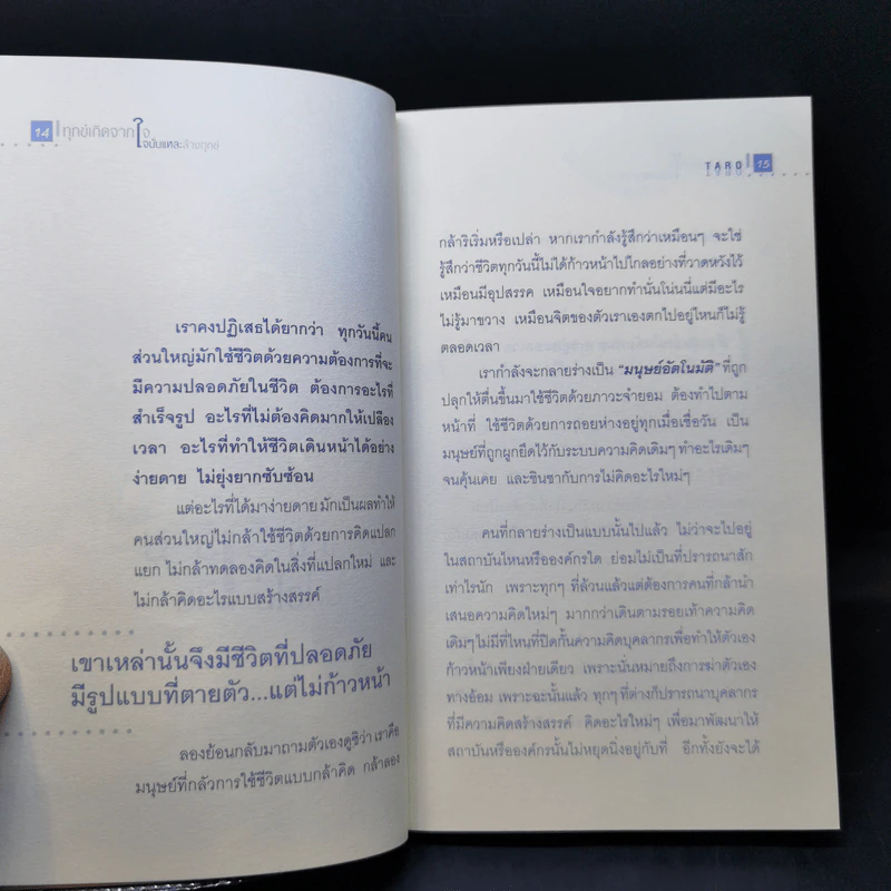 ทุกข์เกิดจากใจนั่นแหละล้างทุกข์ - Taro รูปที่ 12