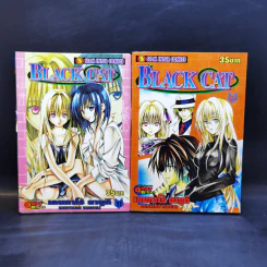 Black Cat 20 เล่มจบ - Kentaro Yabuki รูปที่ 12