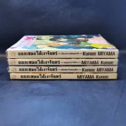 ดอกเหมยใต้เงาจันทร์ ขายรวม 4 เล่ม รูปที่ 2