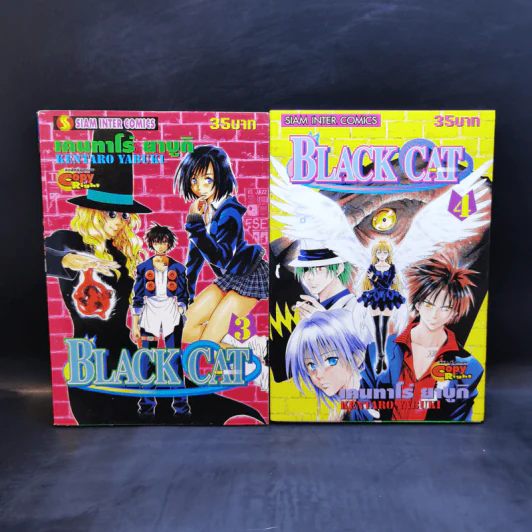 Black Cat 20 เล่มจบ - Kentaro Yabuki รูปที่ 8