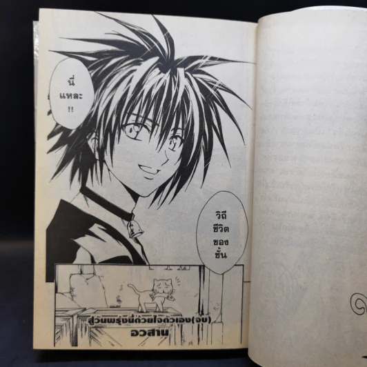 Black Cat 20 เล่มจบ - Kentaro Yabuki รูปที่ 21