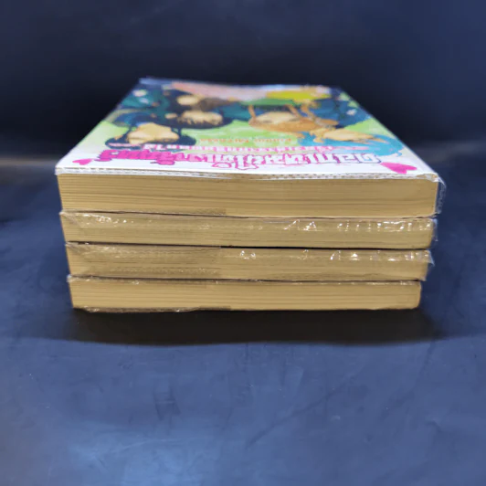 ดอกเหมยใต้เงาจันทร์ ขายรวม 4 เล่ม รูปที่ 5
