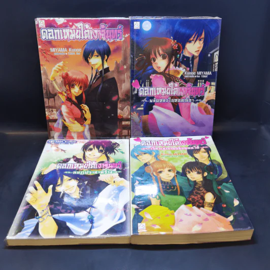 ดอกเหมยใต้เงาจันทร์ ขายรวม 4 เล่ม รูปที่ 1