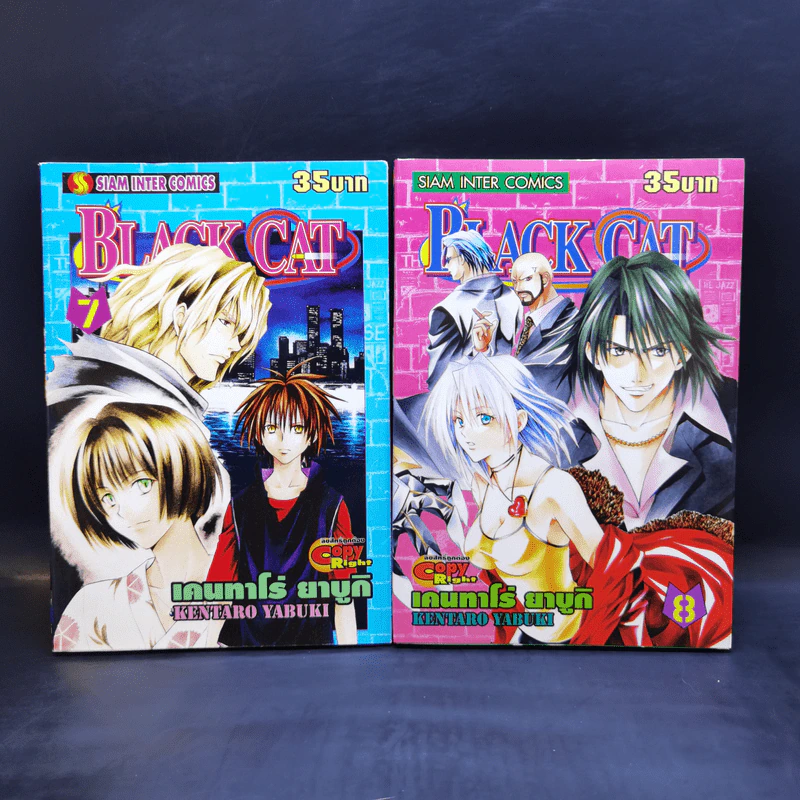 Black Cat 20 เล่มจบ - Kentaro Yabuki รูปที่ 10