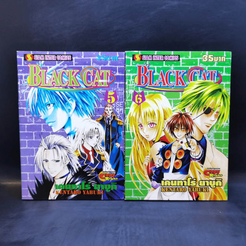 Black Cat 20 เล่มจบ - Kentaro Yabuki รูปที่ 9