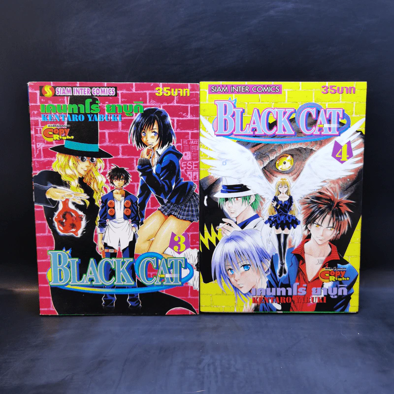 Black Cat 20 เล่มจบ - Kentaro Yabuki รูปที่ 8