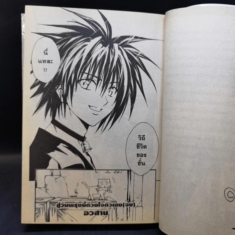 Black Cat 20 เล่มจบ - Kentaro Yabuki รูปที่ 21