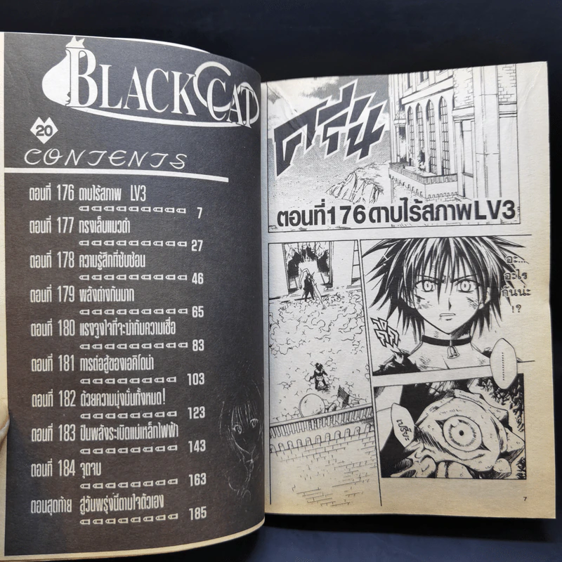 Black Cat 20 เล่มจบ - Kentaro Yabuki รูปที่ 19
