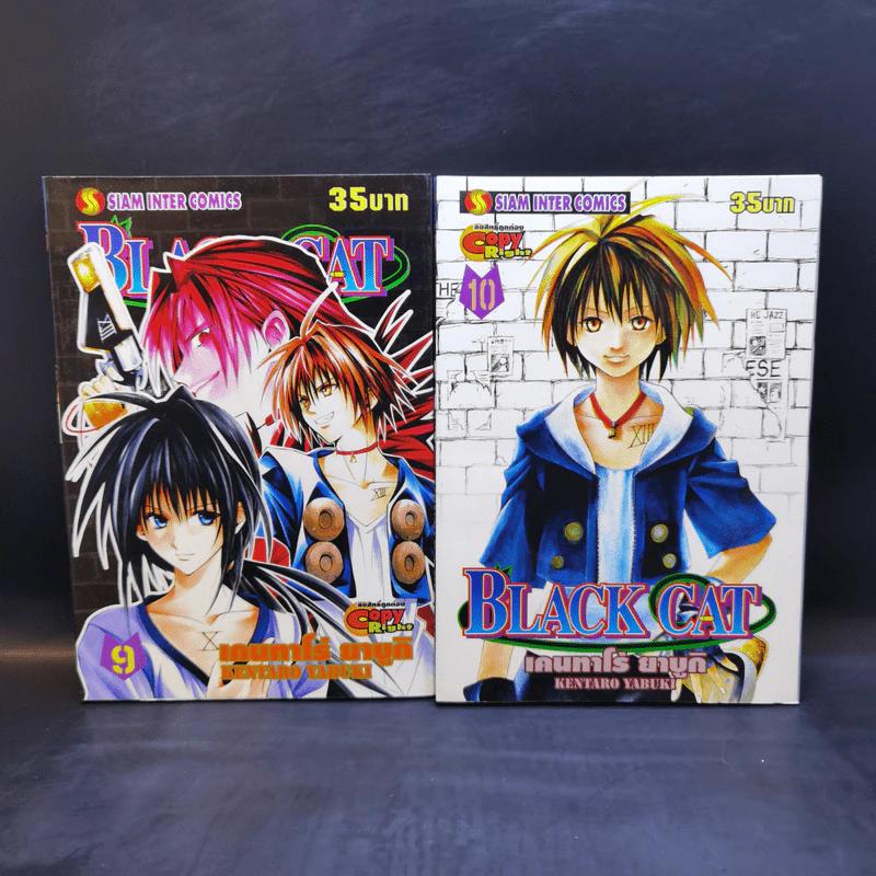 Black Cat 20 เล่มจบ - Kentaro Yabuki รูปที่ 11