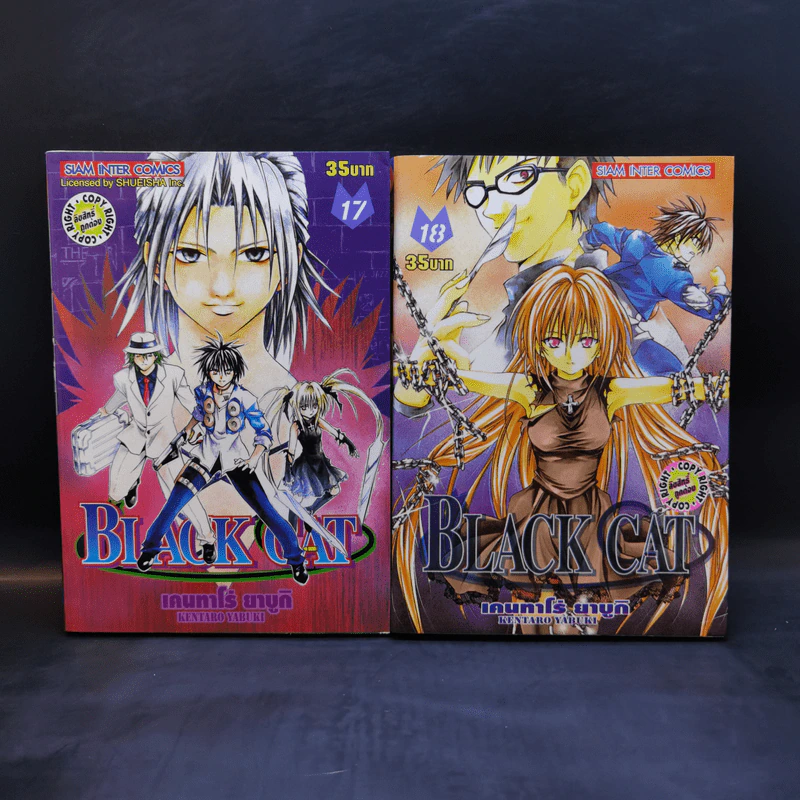 Black Cat 20 เล่มจบ - Kentaro Yabuki รูปที่ 15