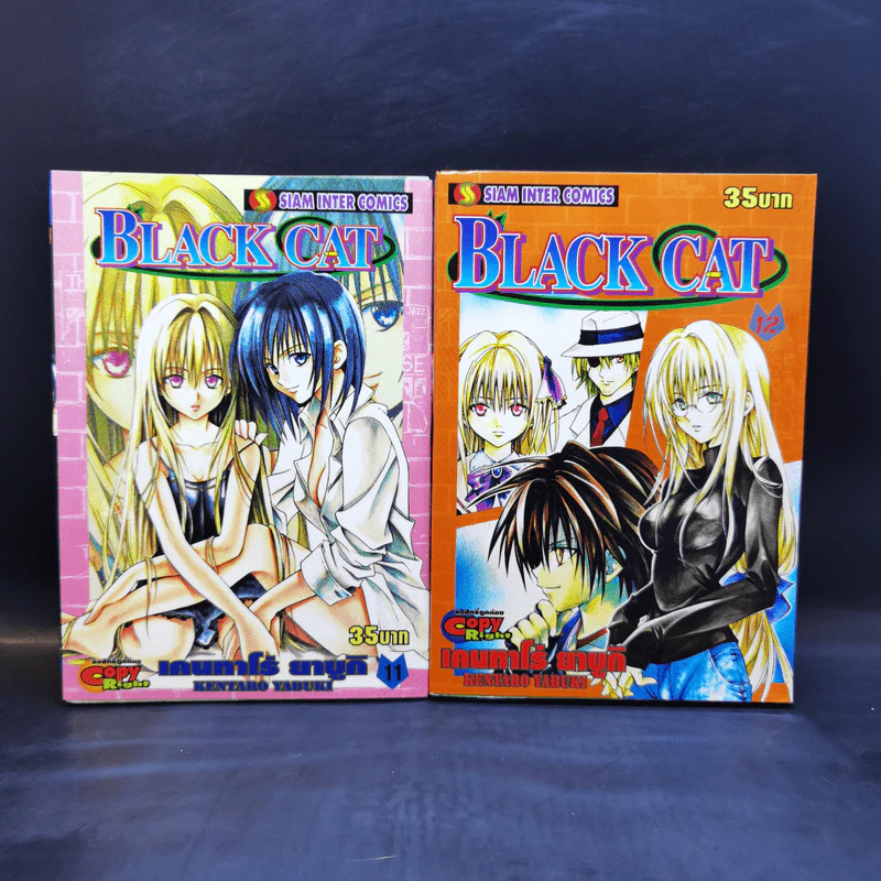 Black Cat 20 เล่มจบ - Kentaro Yabuki รูปที่ 12