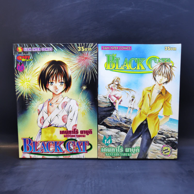 Black Cat 20 เล่มจบ - Kentaro Yabuki รูปที่ 13