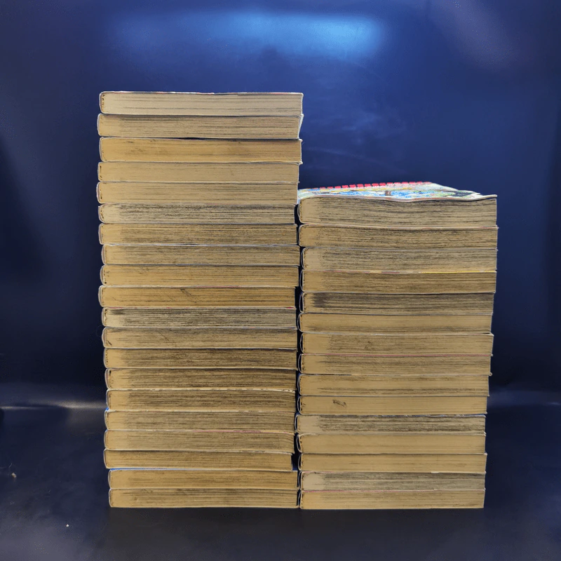 Rave ผจญภัยเหนือโลก 35 เล่มจบ รูปที่ 3