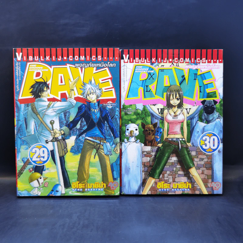 Rave ผจญภัยเหนือโลก 35 เล่มจบ รูปที่ 21