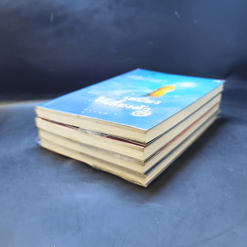 เตรียมเสบียงไว้เลี้ยงตัว เล่ม 1-4 - ดังตฤณ รูปที่ 6