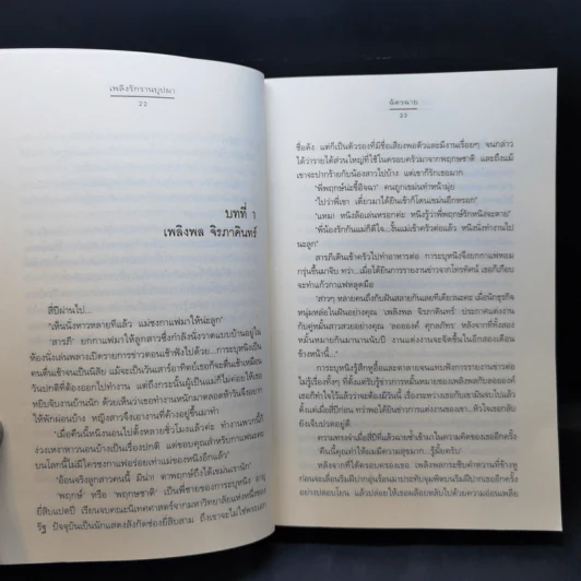 เพลิงรักรานบุปผา - ฉัตรฉาย รูปที่ 10