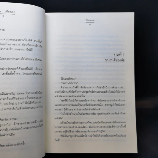 ออดอ้อนเพียงเธอ - ฉัตรฉาย รูปที่ 10