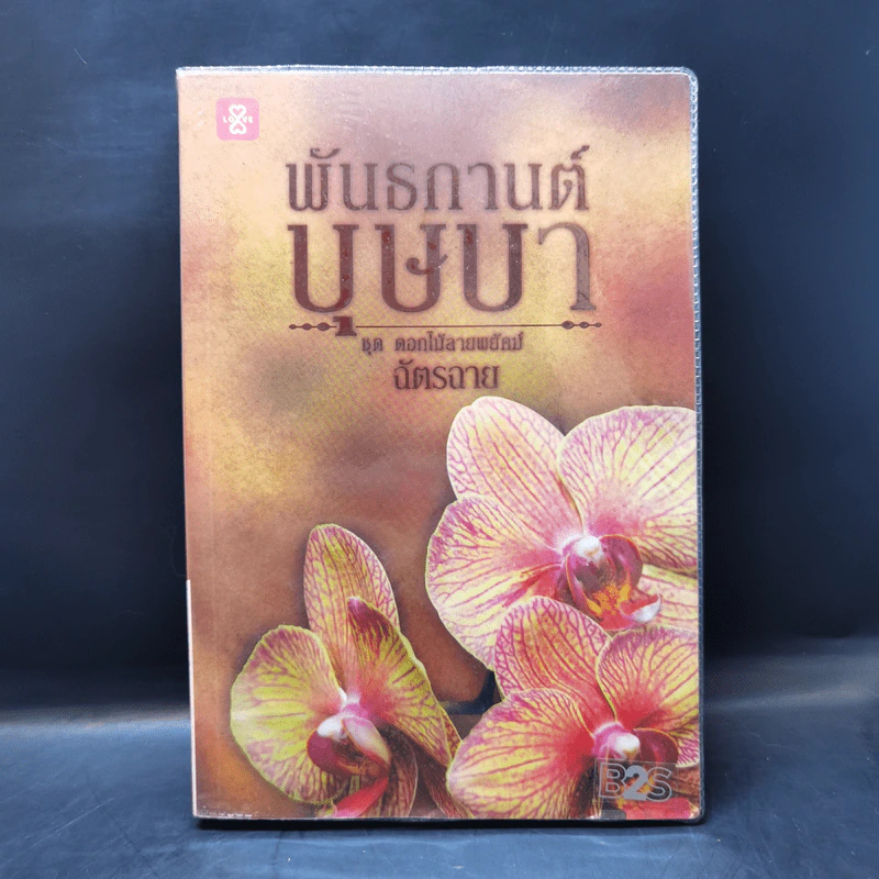 ชุด ดอกไม้ลายพยัคฆ์ ขายรวม 5 เล่ม - ฉัตรฉาย รูปที่ 11