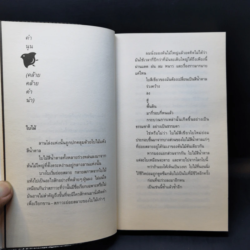 สิ่งที่ค้นพบระหว่างนั่งเฉยเฉย - นิ้วกลม รูปที่ 10