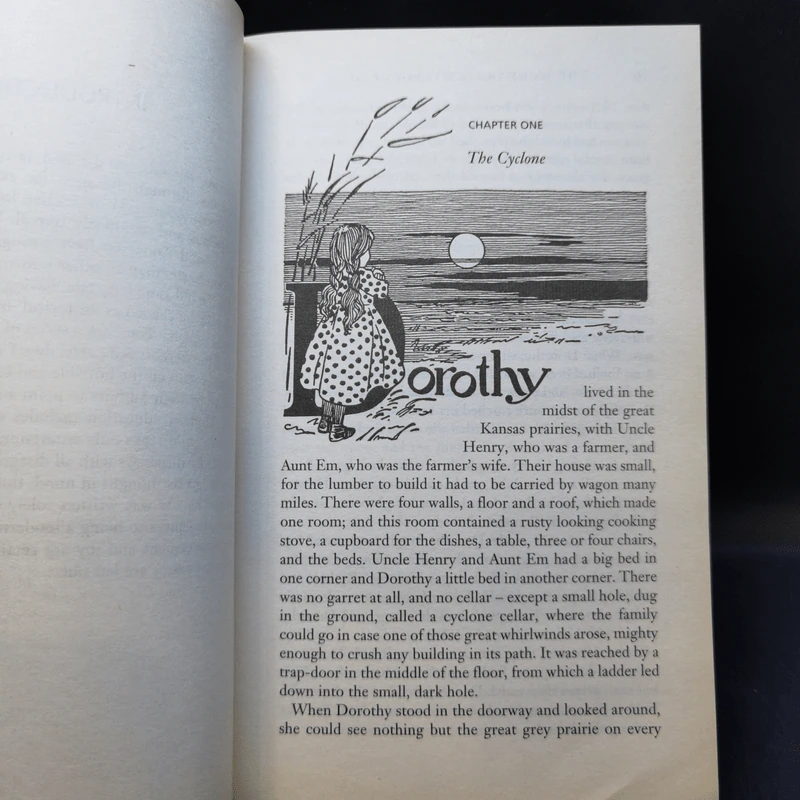 The Wonderful Wizard of Oz & Glinda of Oz - L. Frank Baum รูปที่ 11