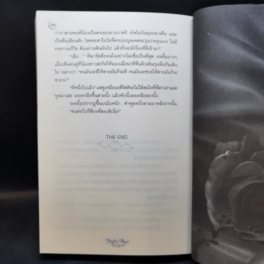 Night Rose กุหลาบราตรี - อาพัชรินทร์ รูปที่ 11