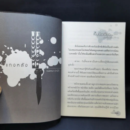 หนังสือเล่มนี้มีชื่อเรื่องอยู่ปกหลัง รูปที่ 10