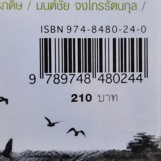 บางกะโพ้ง - วินทร์ เลียววาริณ รูปที่ 14