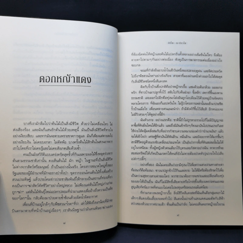 จักรวาลในสวนดอกไม้ - ฮิมิโตะ ณ เกียวโต รูปที่ 12