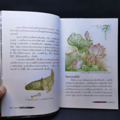 วาดสวยด้วยสีไม้ - อ.ชุลีรัตน์ เลือดน้ำชล รูปที่ 11