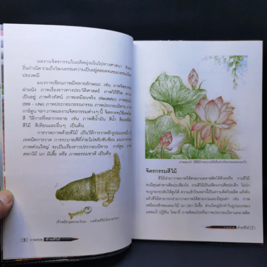 วาดสวยด้วยสีไม้ - อ.ชุลีรัตน์ เลือดน้ำชล รูปที่ 11
