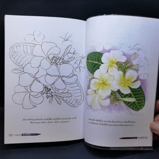 วาดสวยด้วยสีไม้ - อ.ชุลีรัตน์ เลือดน้ำชล รูปที่ 13
