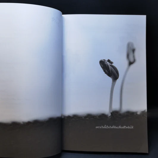 สมุดบันทึกการใช้ชีวิตอีก 365 วัน วันเปลี่ยนชีวิต - วินทร์ เลียววาริณ รูปที่ 9