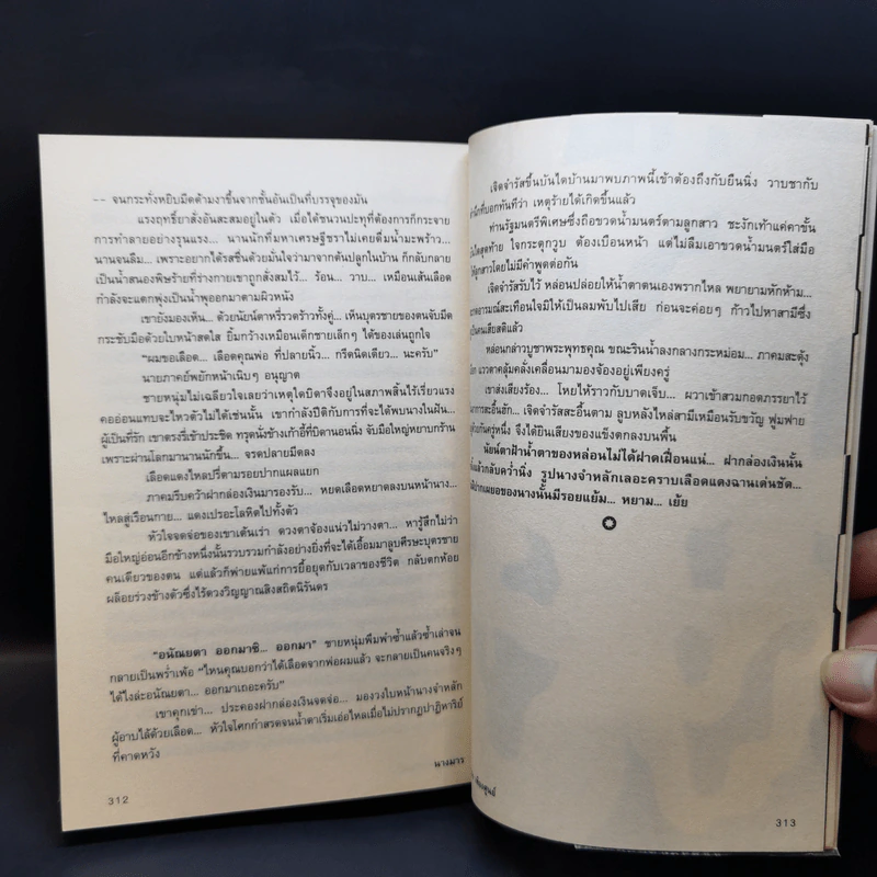 นางมาร - เพไนย เพียงศูนย์ รูปที่ 11