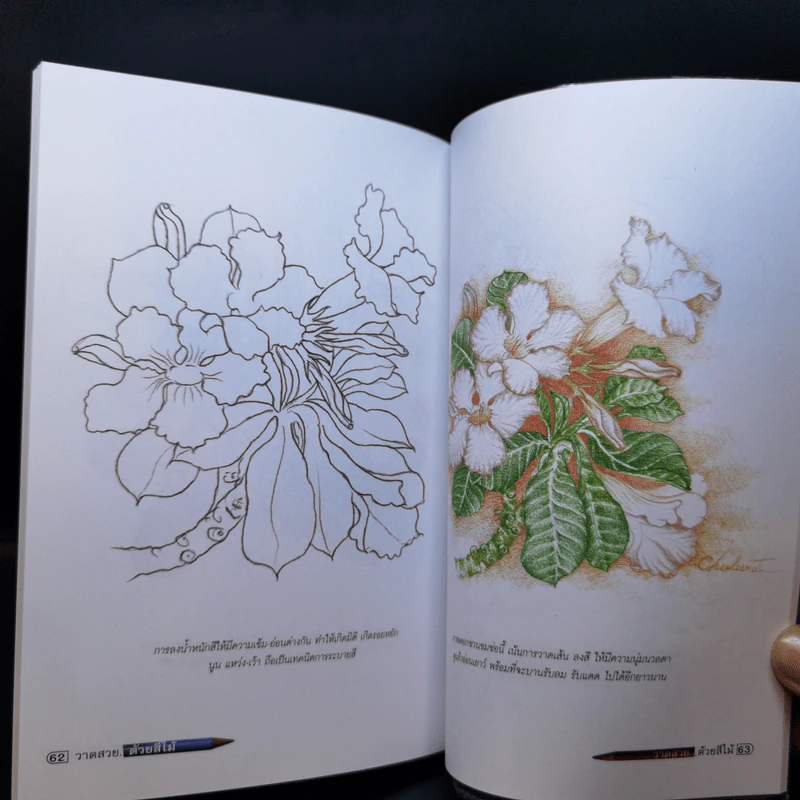 วาดสวยด้วยสีไม้ - อ.ชุลีรัตน์ เลือดน้ำชล รูปที่ 12
