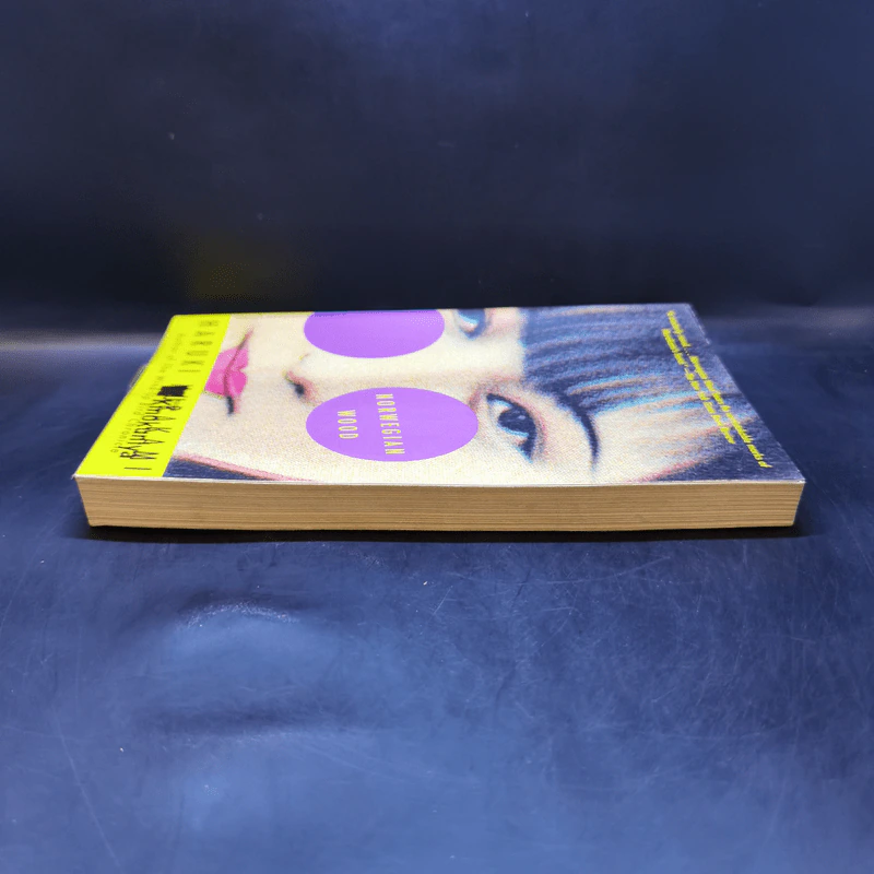 Norwegian Wood - Haruki Murakami รูปที่ 5