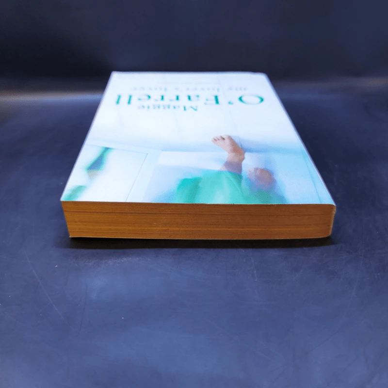 My Lover's Lover - Maggie O'Farrell รูปที่ 6