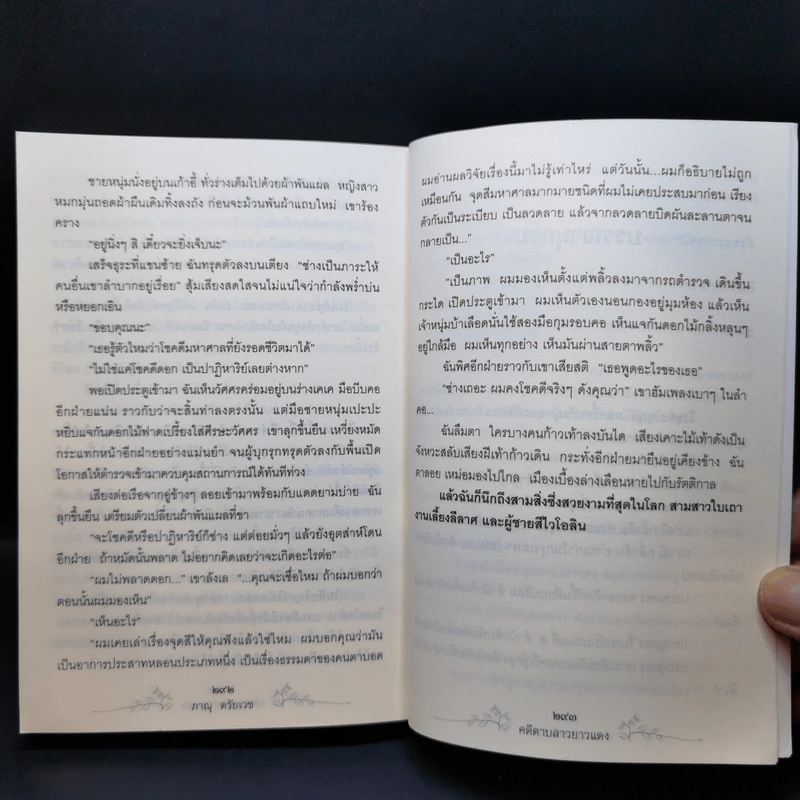 คดีดาบลาวยาวแดง - ภาณุ ตรัยเวช รูปที่ 12