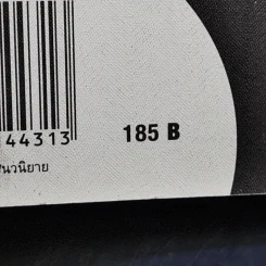 แพนด้า - ปราบดา หยุ่น รูปที่ 13
