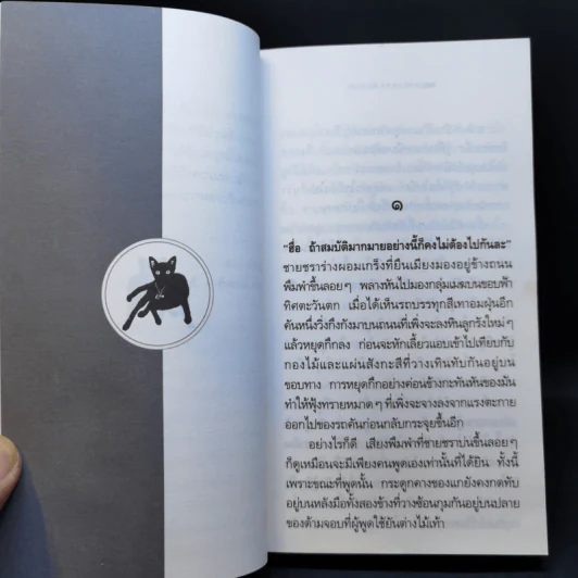 แมว The Cat - ลาว คำหอม รูปที่ 11