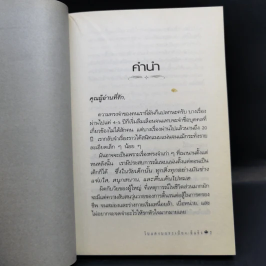 โบแดงบนระเบียง - อีแร้ง รูปที่ 10