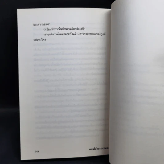นอนใต้ละอองหนาว - ปราบดา หยุ่น รูปที่ 11