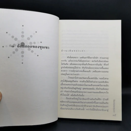 อยากให้ลมหนาวหวนมาอีกครั้ง - อภิชาติ เพชรลีลา รูปที่ 12