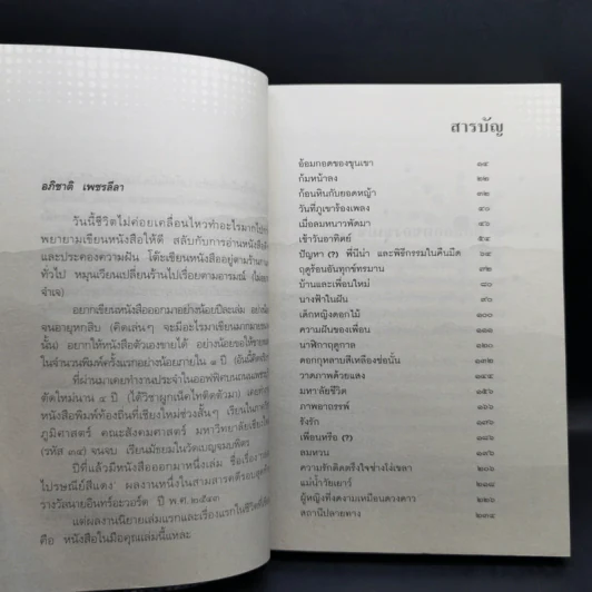 อยากให้ลมหนาวหวนมาอีกครั้ง - อภิชาติ เพชรลีลา รูปที่ 11