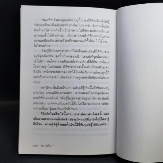 จิตมหัศจรรย์ - หลวงเมือง รูปที่ 12