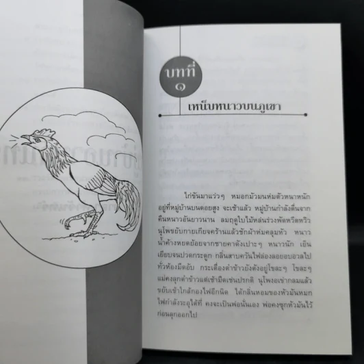 หมู่บ้านอาบจันทร์ - มาลา คำจันทร์ รูปที่ 11